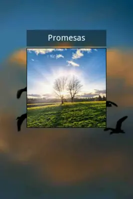 Promesas android App screenshot 8